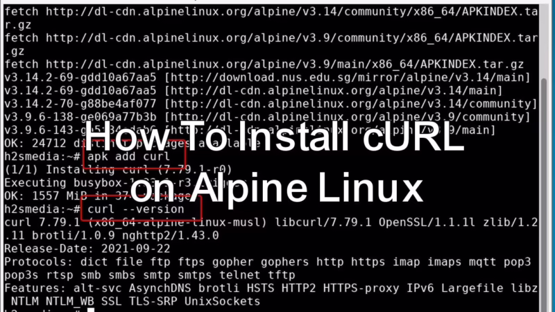 How to install curl in alpine docker image?