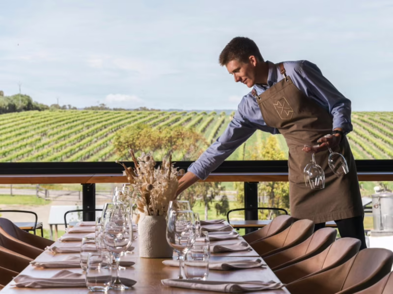 Who owns Maxwell wines?