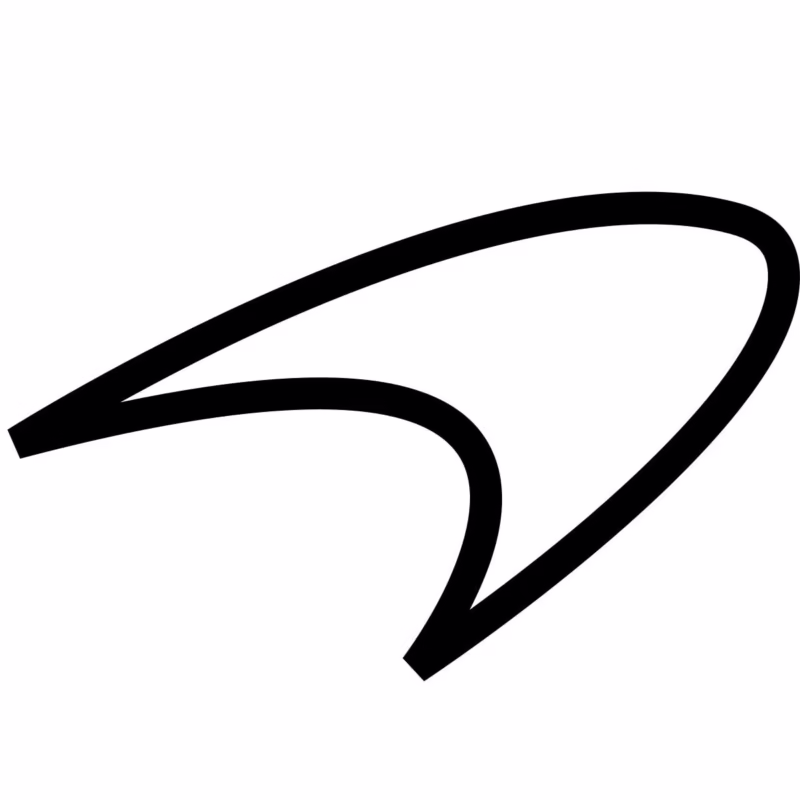 What does this 🪖 emoji mean?