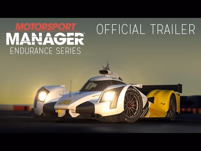 Can you do endurance racing in Forza Motorsport?