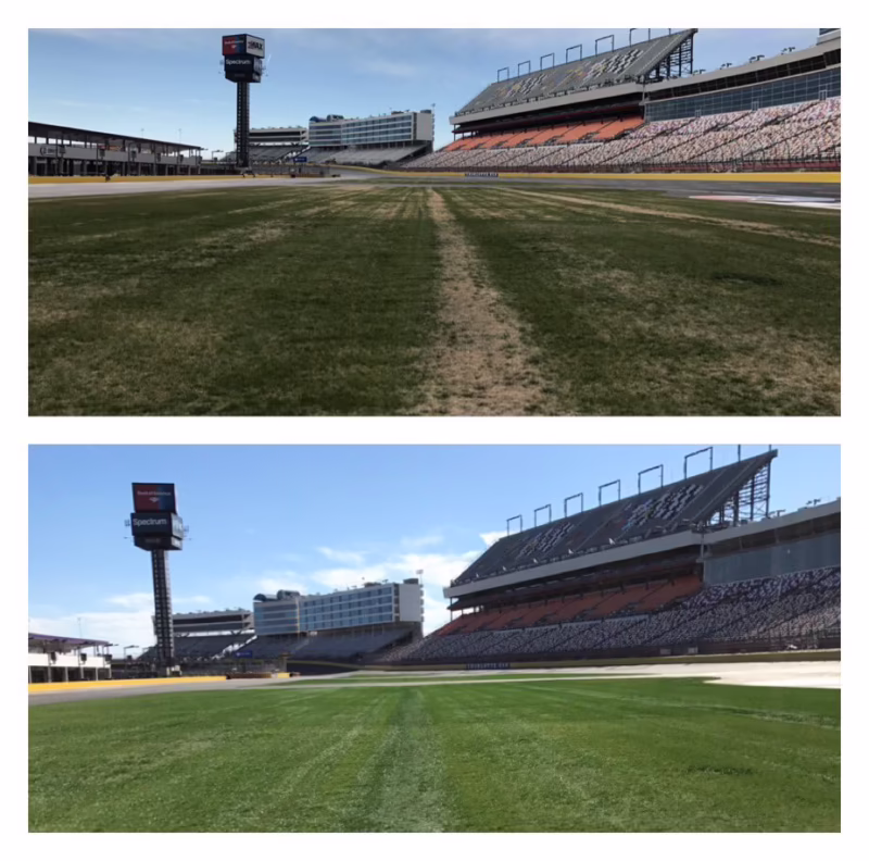 Why did Daytona get rid of grass?