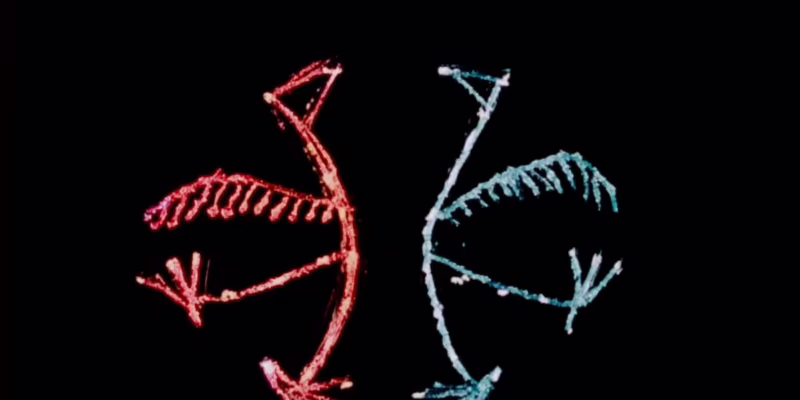 What are the four basic animation techniques?