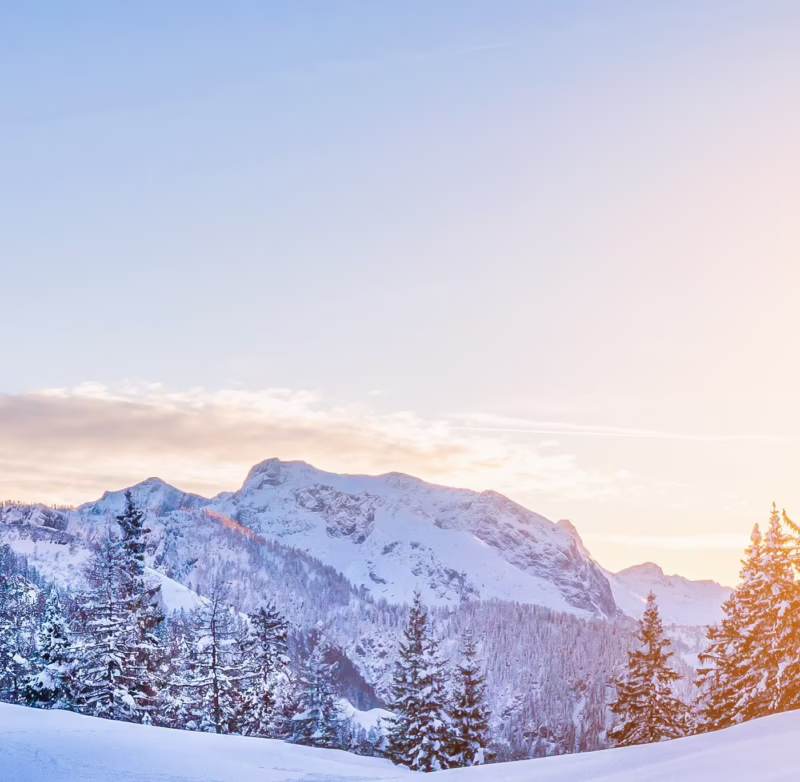 Where is Alpine Pro from?