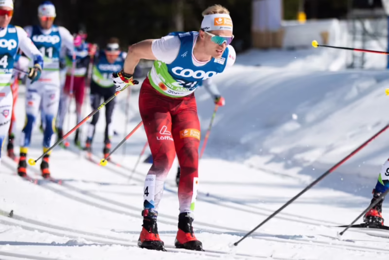 Where is Alpine Pro from?