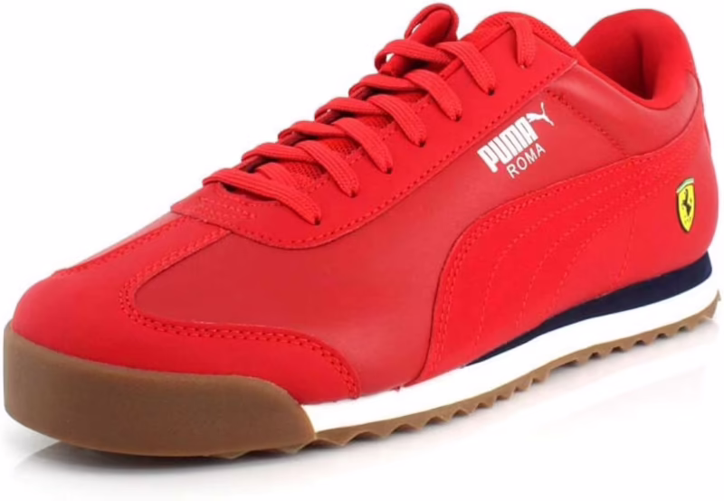 ¿Qué significan los pumas en Roma?