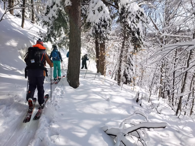 ¿Qué es ski randonnée?