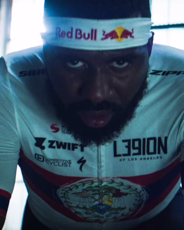 Who will be Red Bull's second driver?