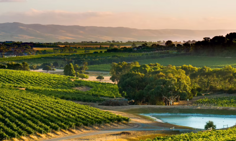 How to spend a weekend in McLaren Vale?