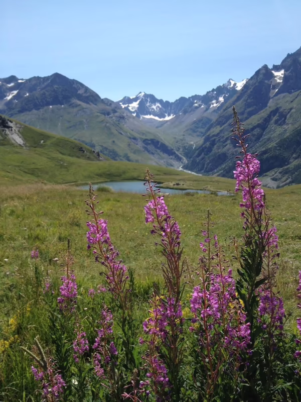 What are Alpine Meadows now?