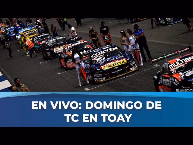 ¿Qué canales se ven en vivo por YouTube?